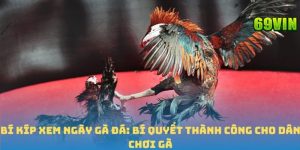 bí kíp xem xem đá gà