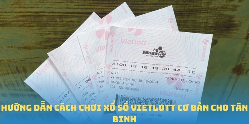 Hướng dẫn cách chơi xổ số Vietlott cơ bản cho tân binh