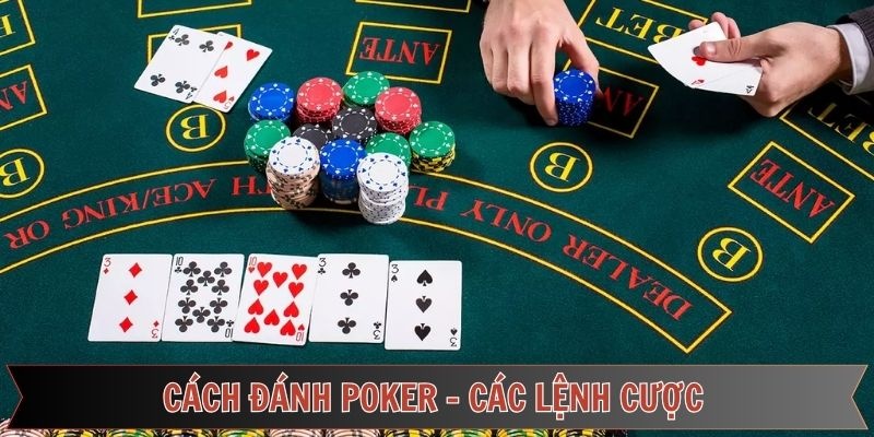 Thuật ngữ xuống tiền trong cách đánh Poker